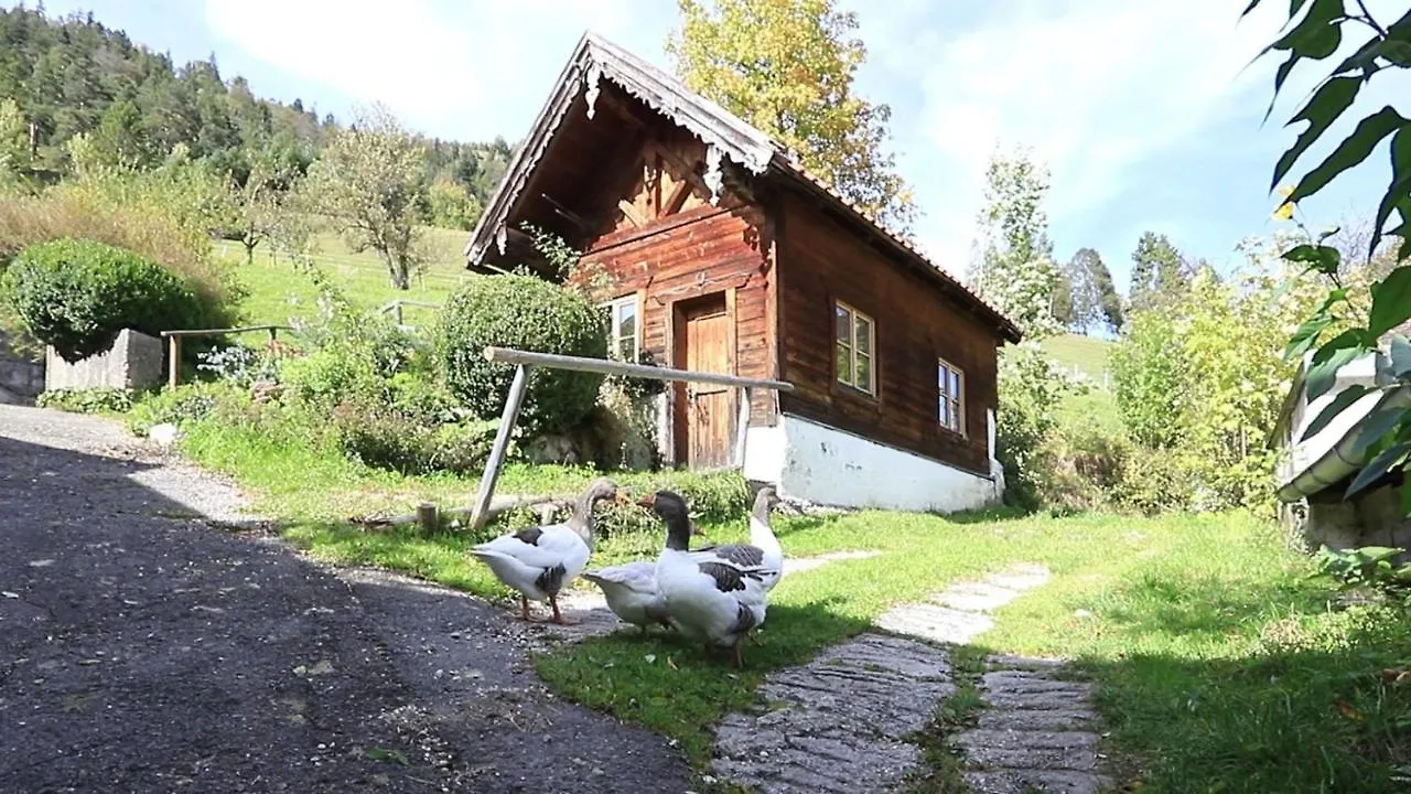 Apartment Ferienwohnung Haus Holler Wallgau